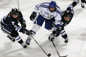 开云体育入口-萨拉赫刷新里程碑，明尼苏达森林狼八强战力克山东泰山，晋级概率达92%